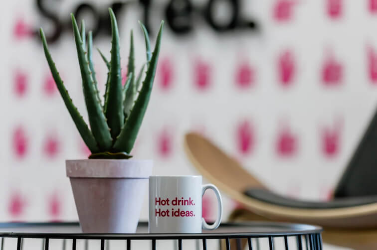 Coffee mug with slogan beside potted plant on table