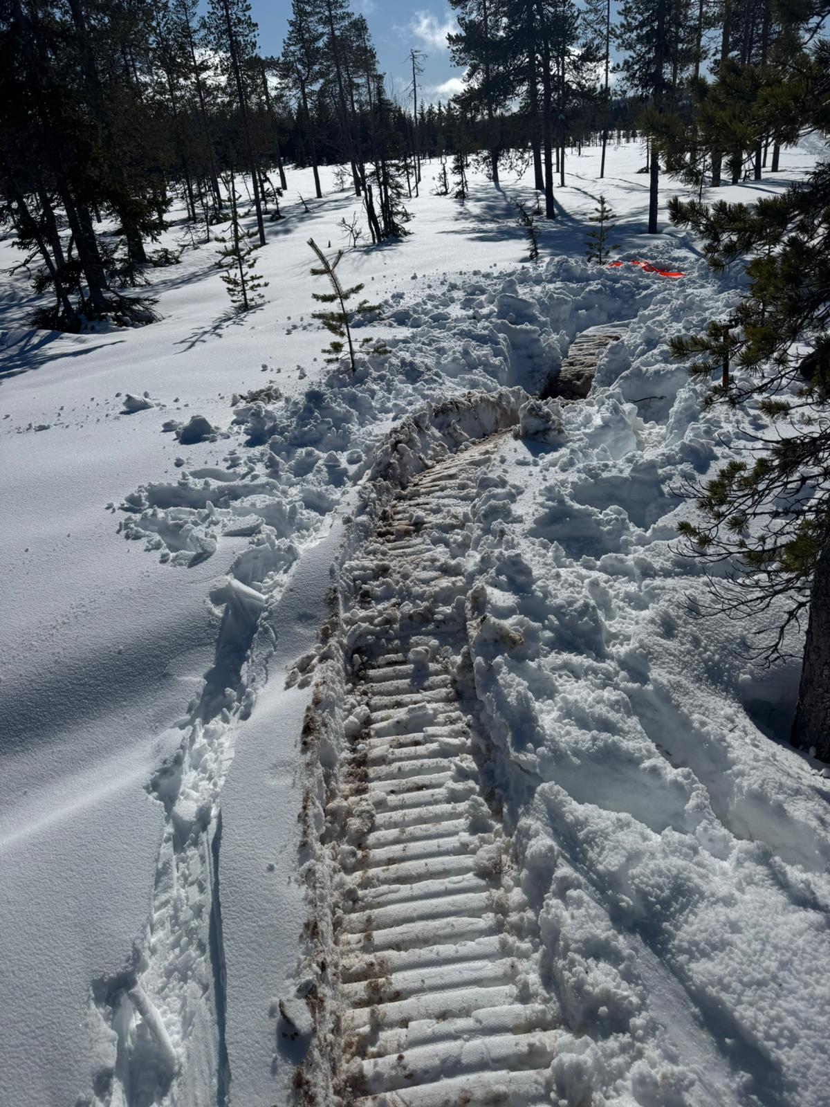 a snow covered street with houses and trees