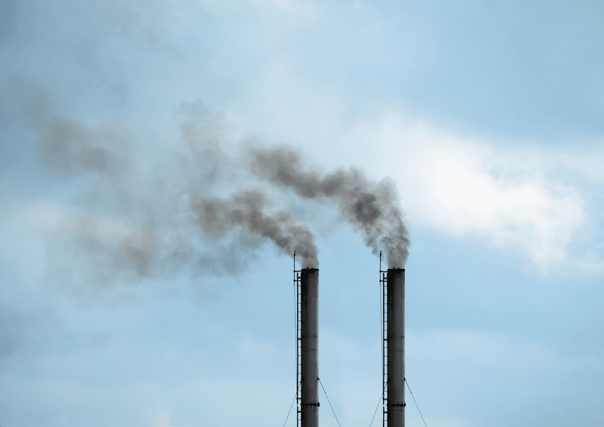 Affiche promotionnelle de l'émission 'Qui veut être mon associé?' diffusée dès le jeudi 8 janvier à 21h10 sur M6. Sept entrepreneurs sont présentés dans un décor industriel avec briques apparentes. En dessous, photo de deux hommes souriants debant une table avec des cartons, à côté du logo 'Willy Anti-Gaspi'.