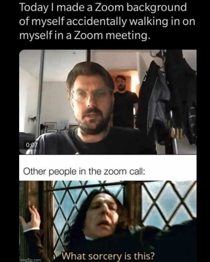 37 Zoom memes that made us cry