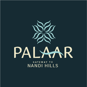 Logo 51