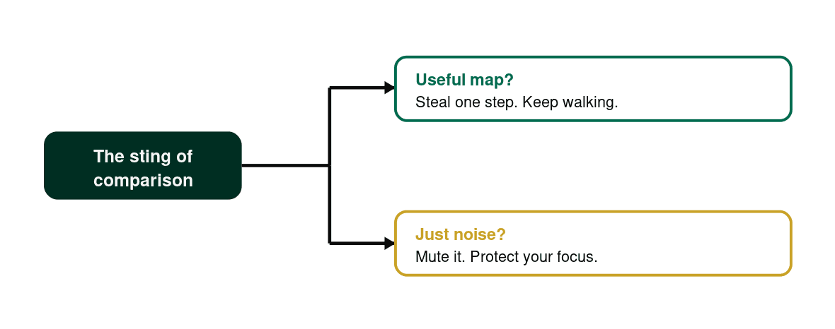 A decision flow turning the sting of comparison into either a map to learn from or noise to mute.