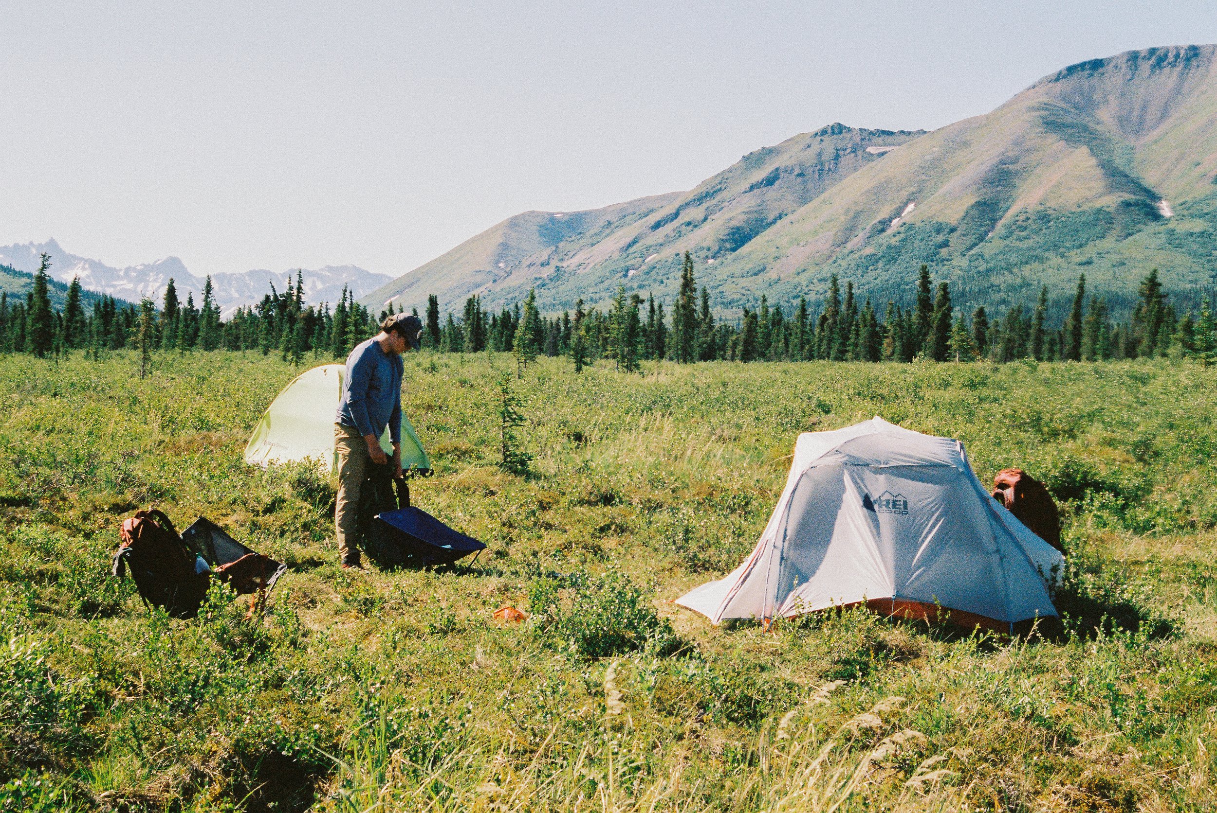 Setting up our campsite in Denational National Park