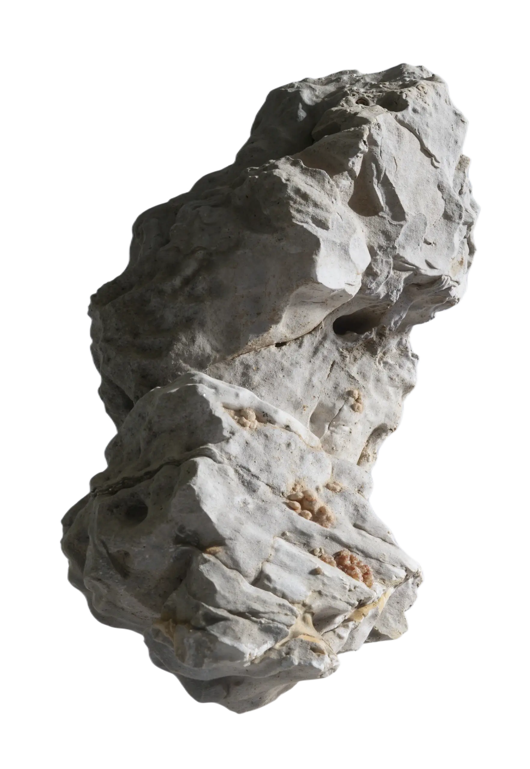 Back image
