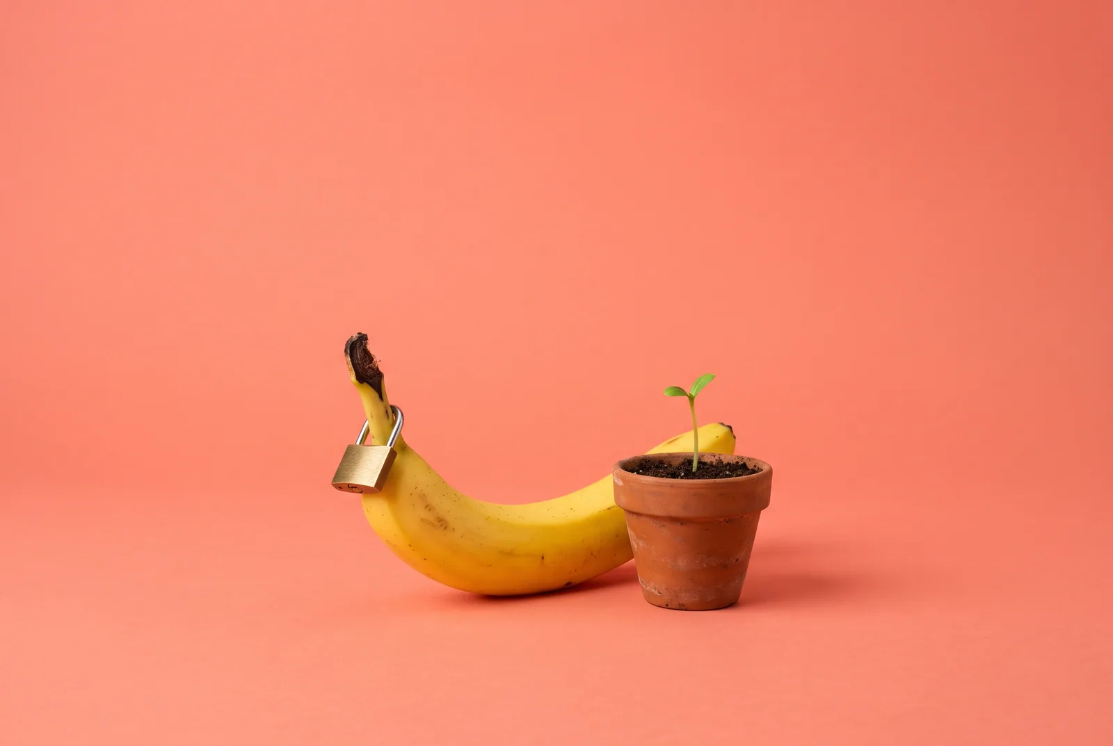 A banana with a tiny padlock beside a small potted sprout, switching from BlockerX or using both