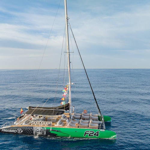 NEW CATAMARAN
