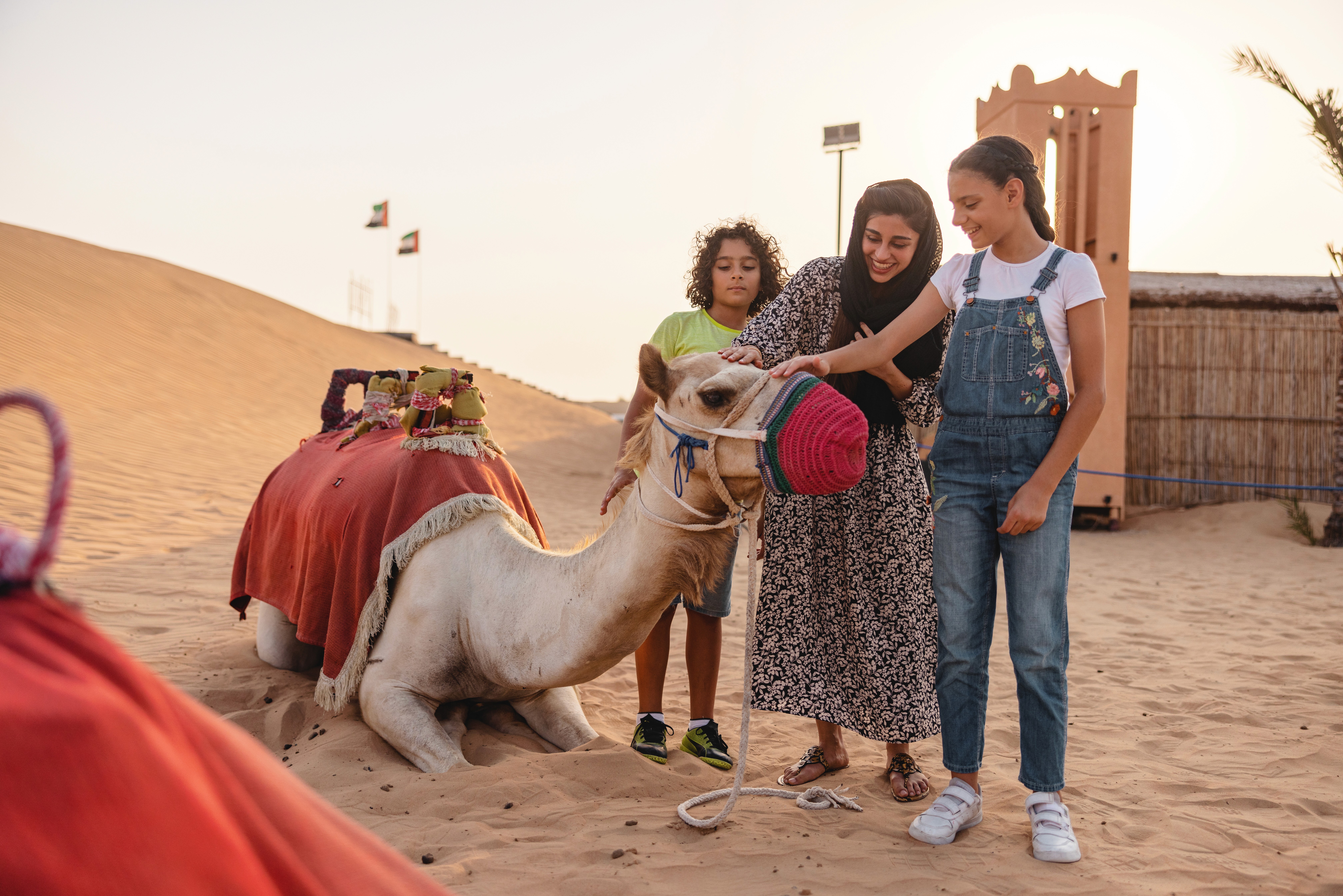 What Are The Top-Rated Desert Safari Operators In Dubai?