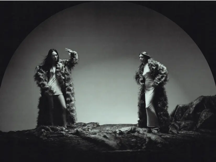 Mara Venn portfolio image