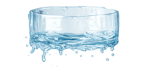 Burger Patty With Cheese