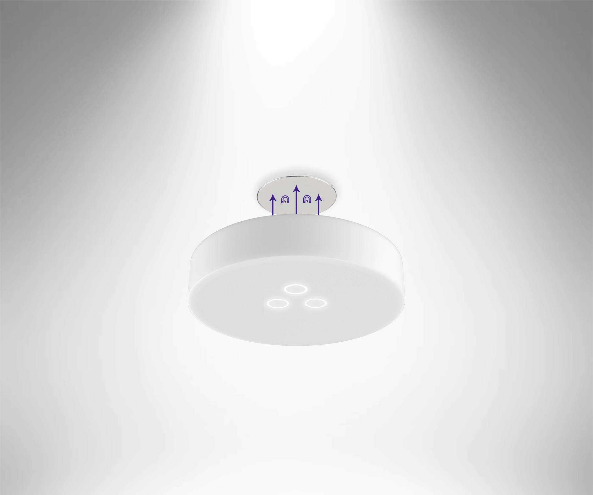 An image of Freelio's project ui