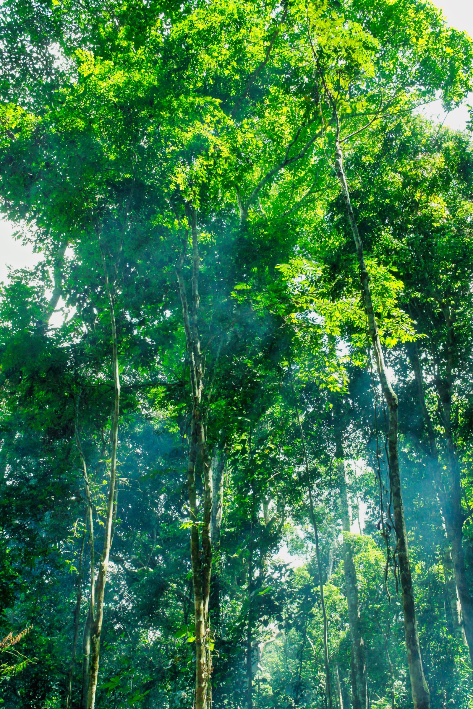 Coach explaining stuff to an athlete