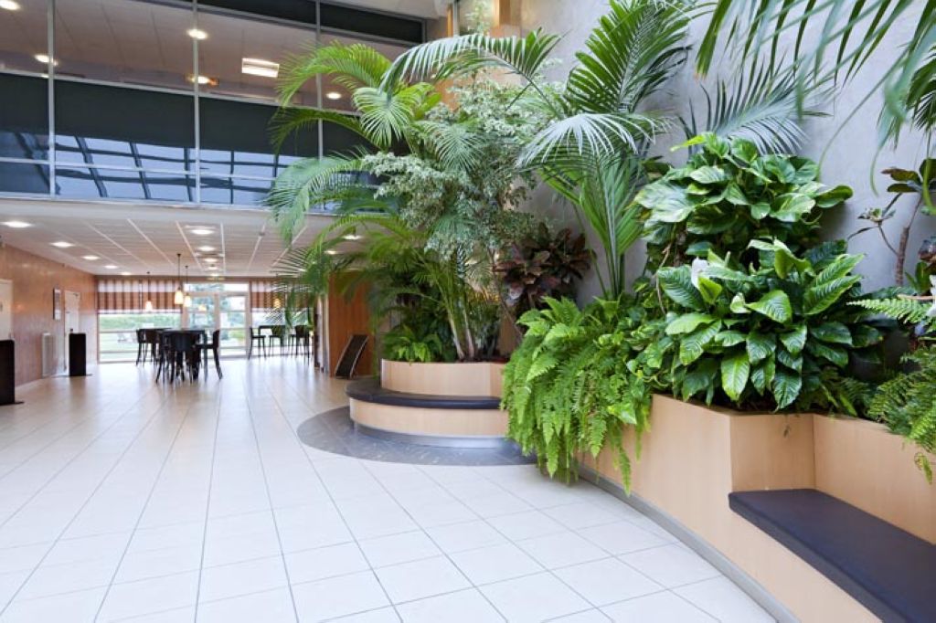 Modern clinic interior with reception/common area, tropical plants, natural light, white flooring, and contemporary design
