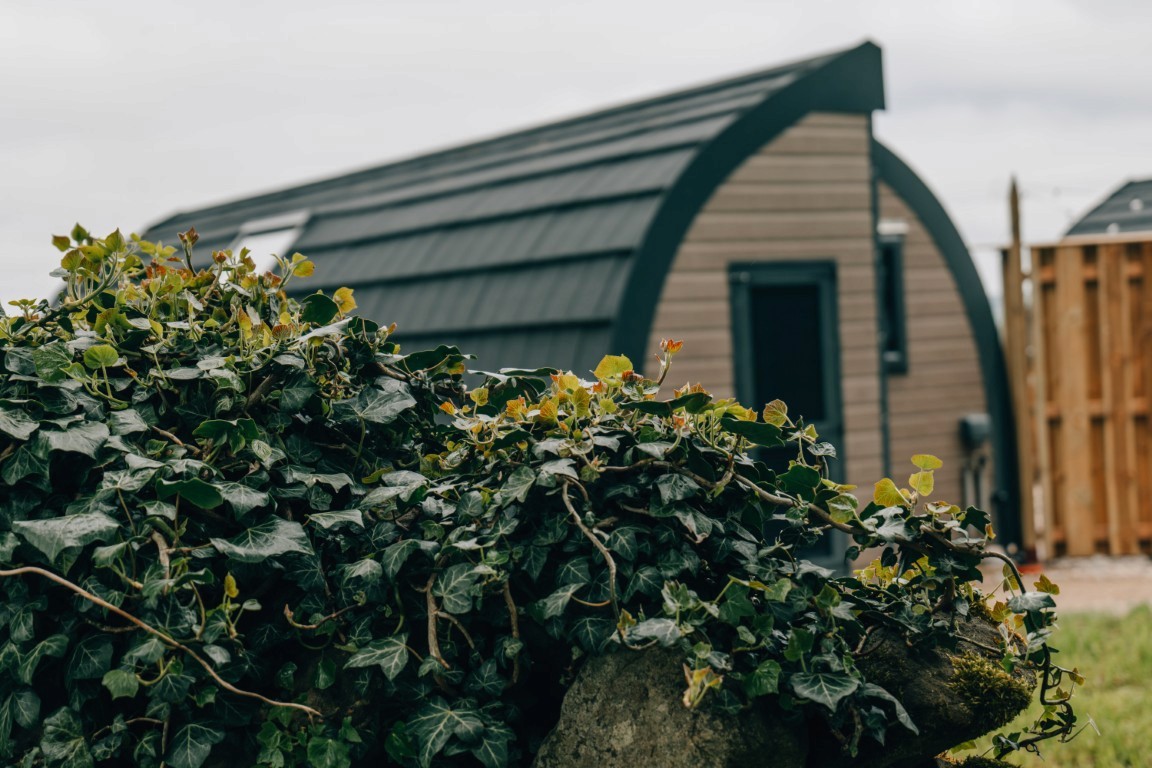Eastfield Glamping Farm pod next to a brick wall with ivy on it.