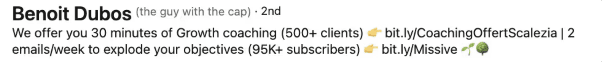 Linkedin headline generator - example of a CEO