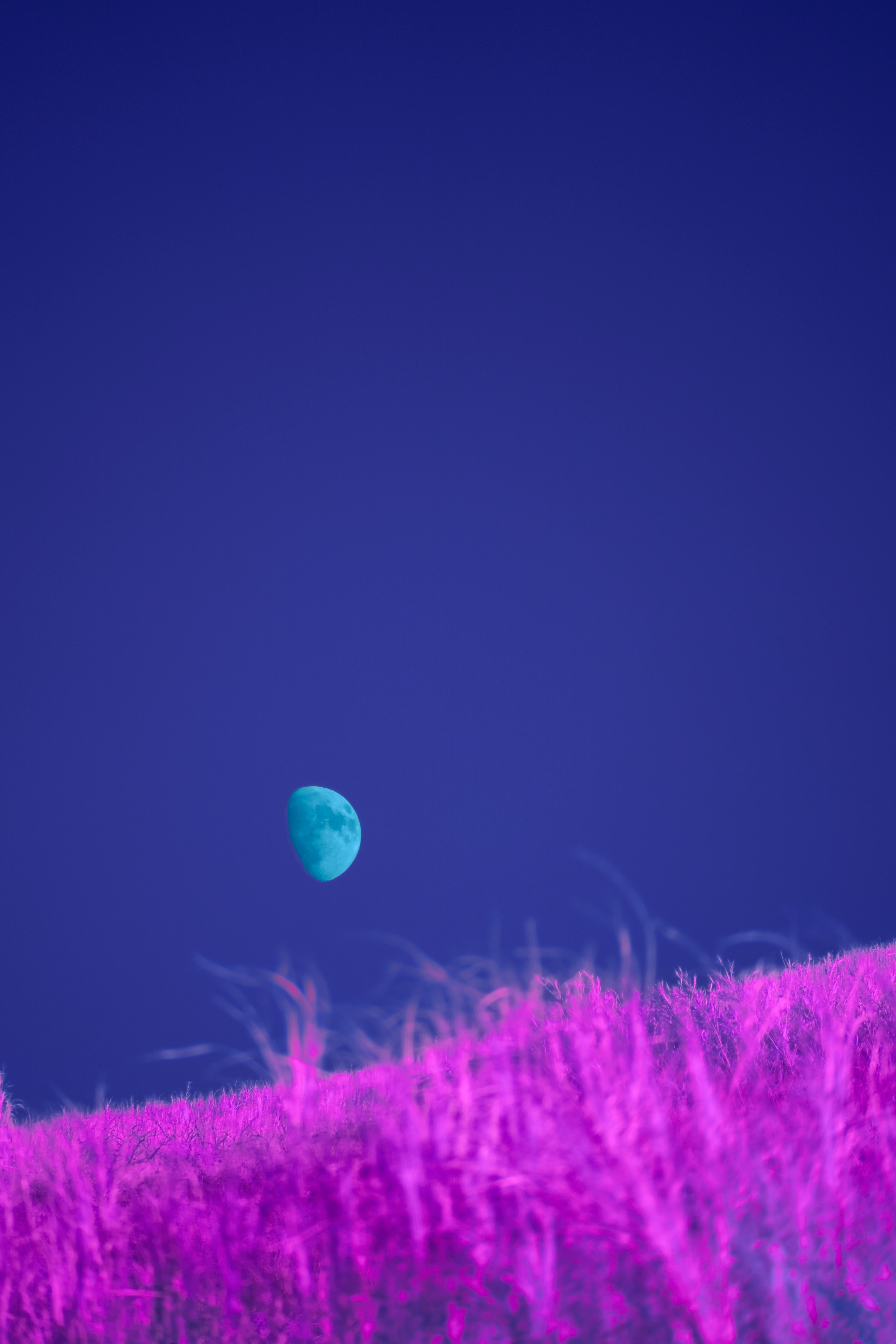A surreal landscape with a teal moon over purple grass