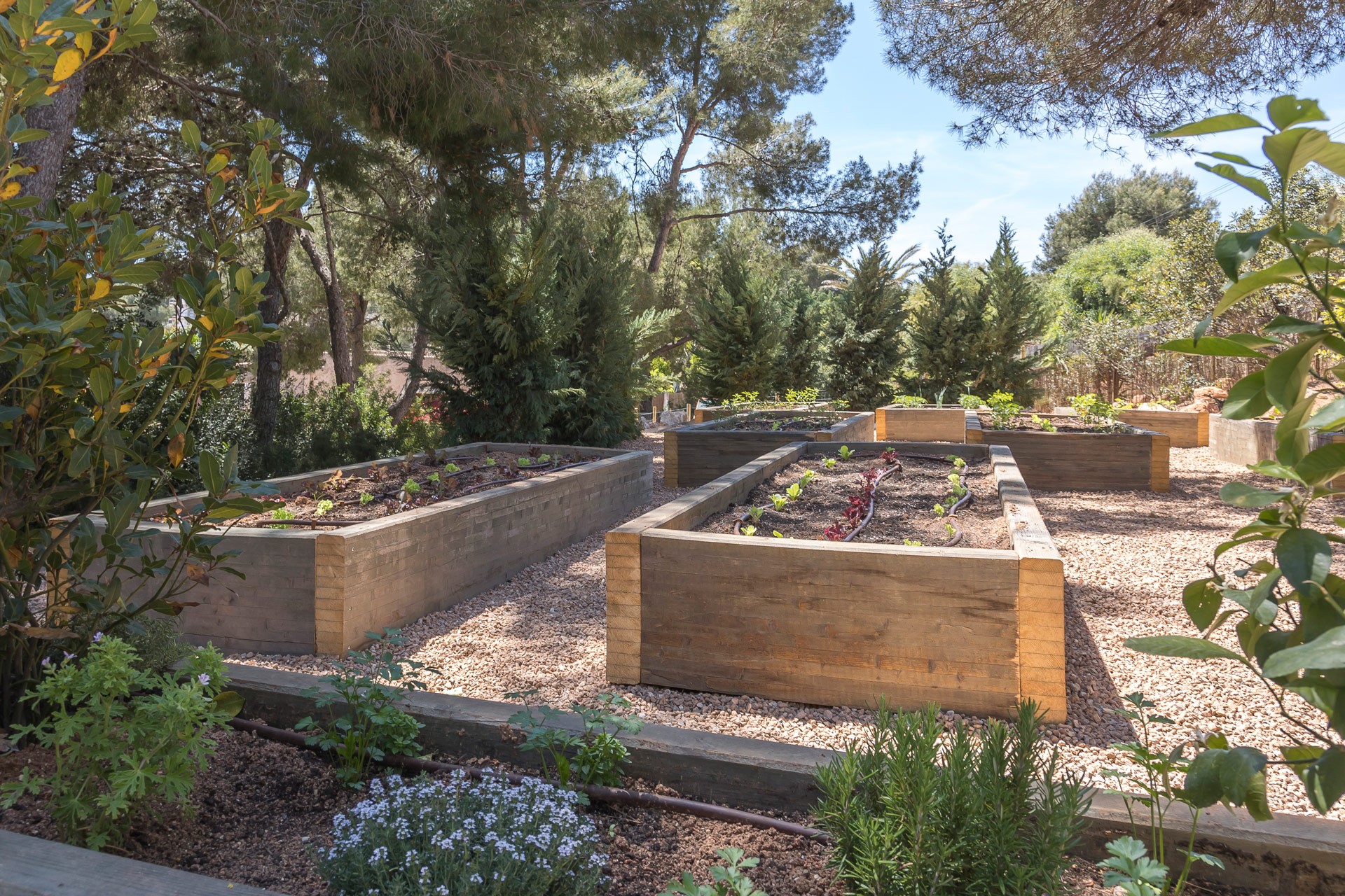 Organic farm garden at an exclusive luxury villa Ibiza—private VIP estate property holiday retreat