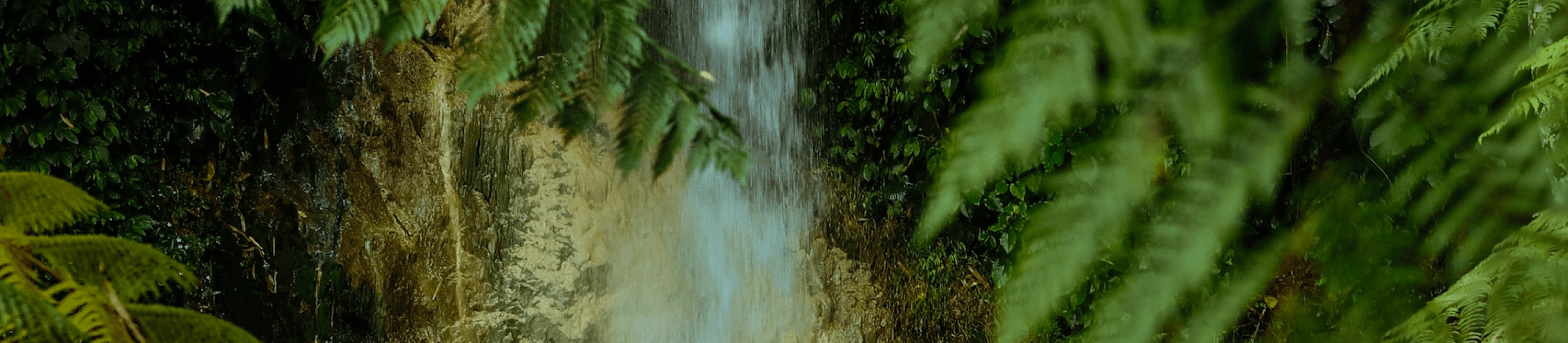 自然の滝のイメージ