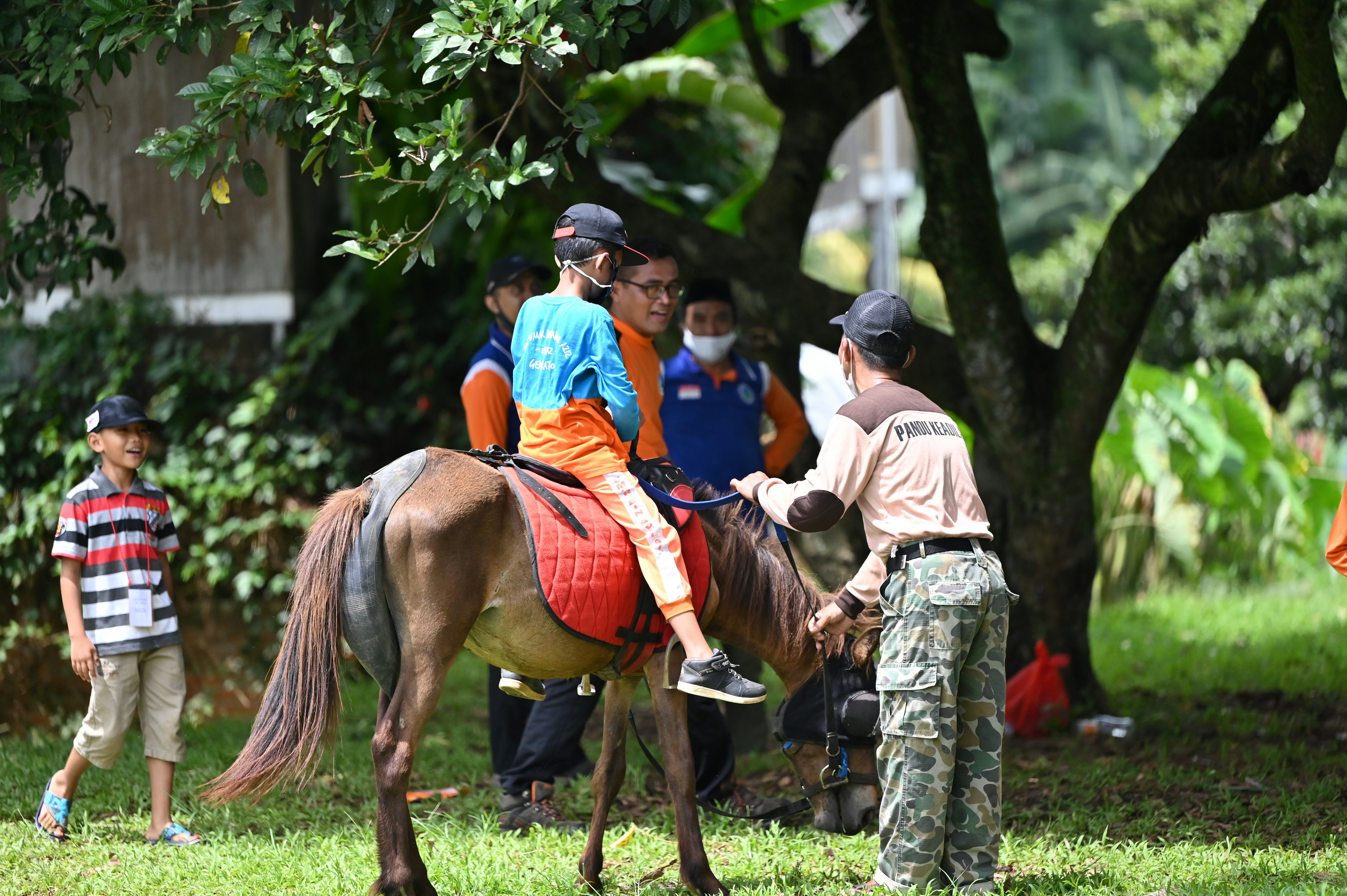 a group of people standing around a brown horse