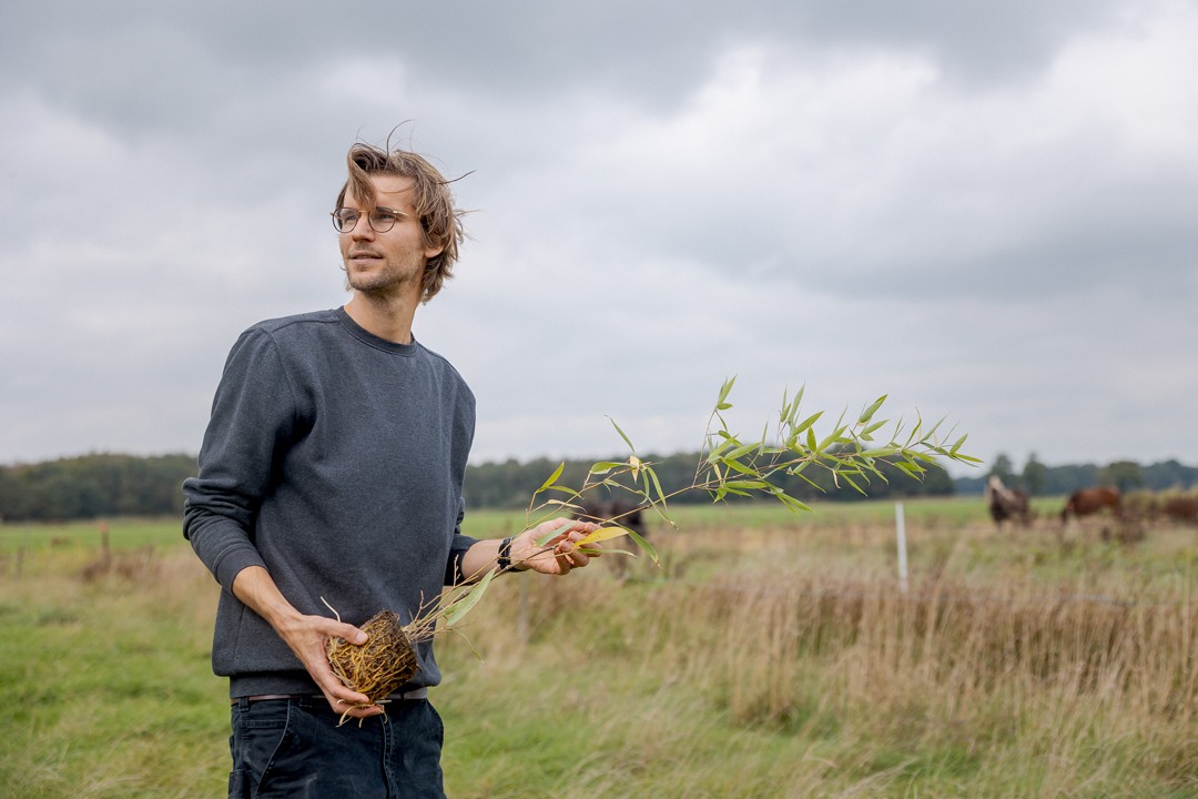 bamboe_boerderij_met_koolstofverwijderingscertificaten