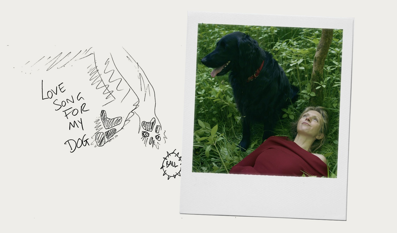 Love Song for My Dog - Lara and the Birds