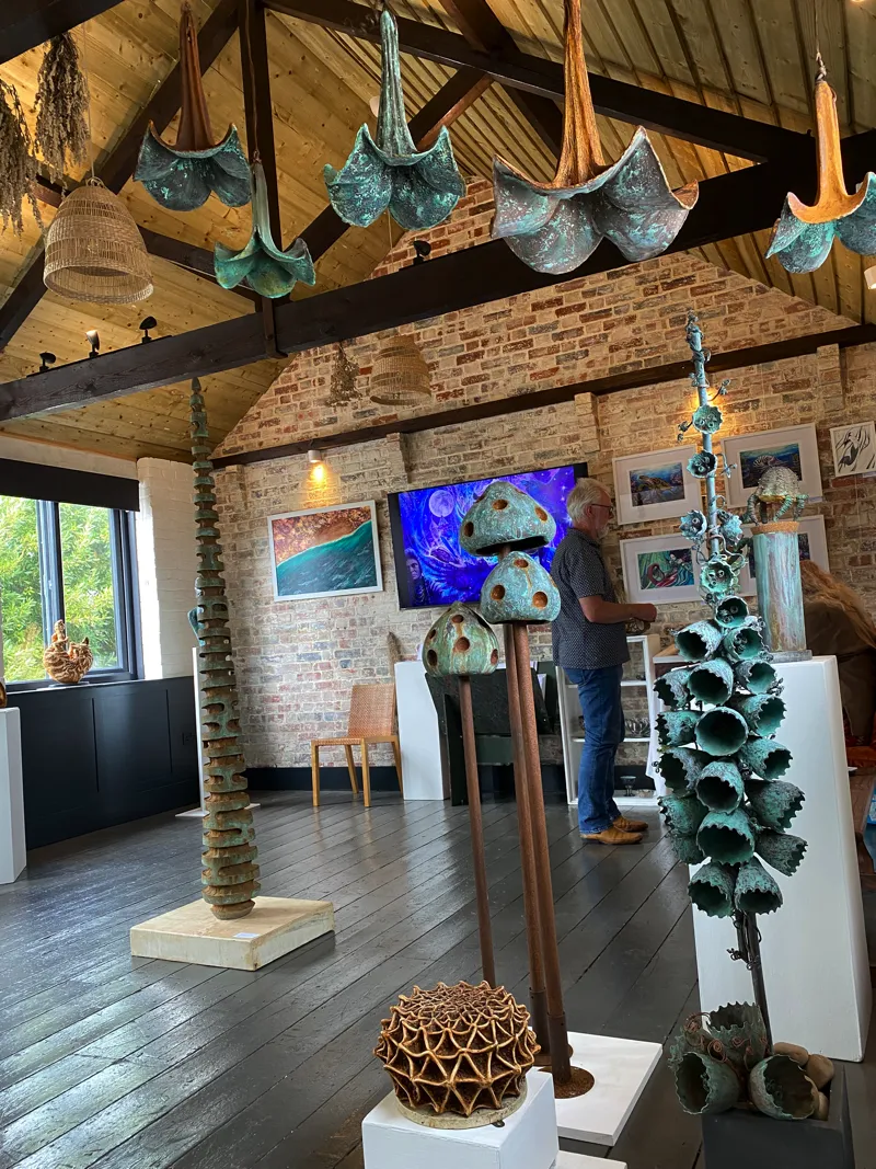 trumpet flowers hanging in gallery