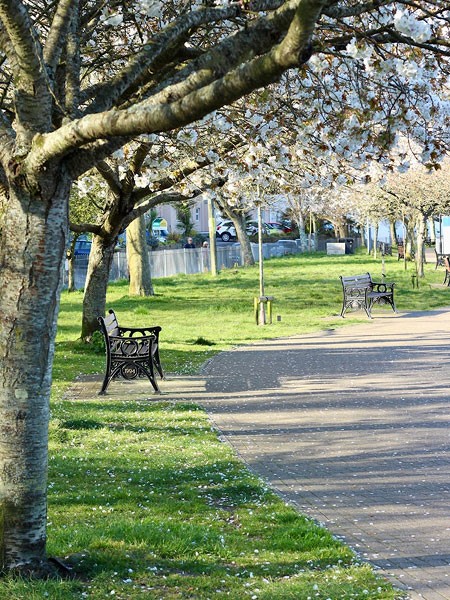 Neighborhood's highlights