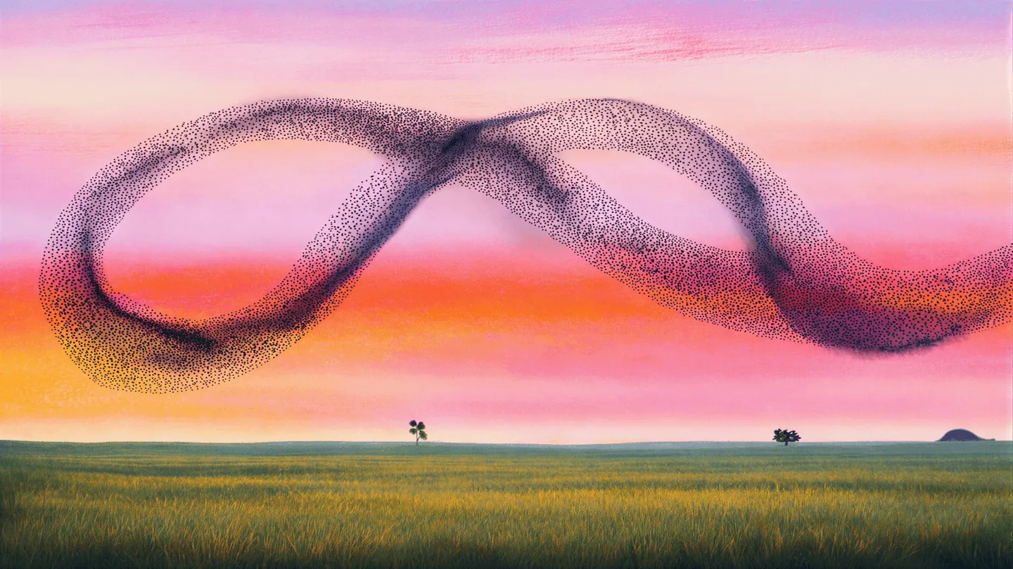 Watercolor of starlings in a murmuration forming an infinity loop.