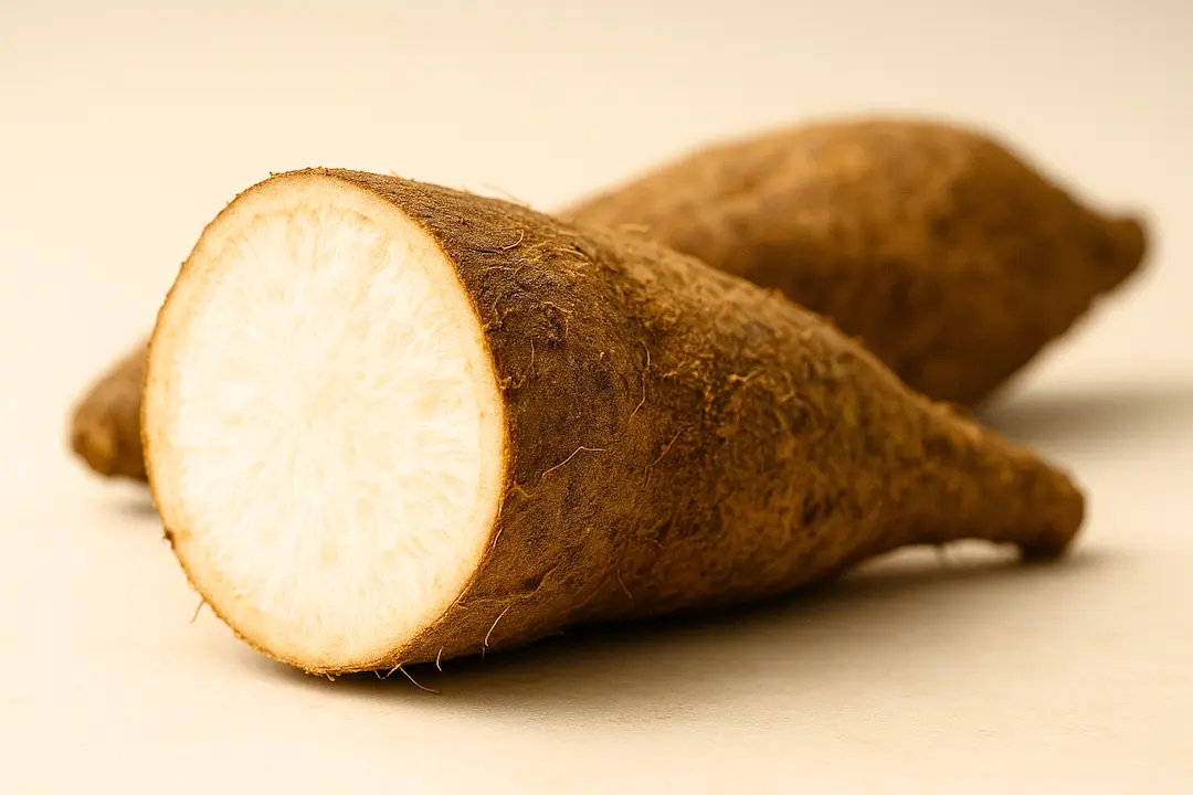 Kudzu Wurzel Schnitt