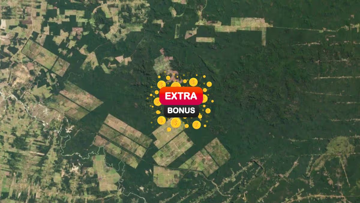 An image of Freelio's project ui