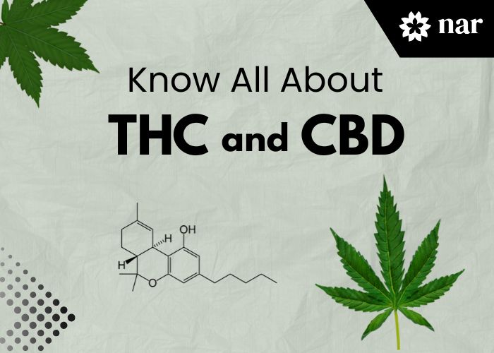 all-about-thc-and-cbd