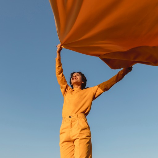 Work-Life Balance Couching