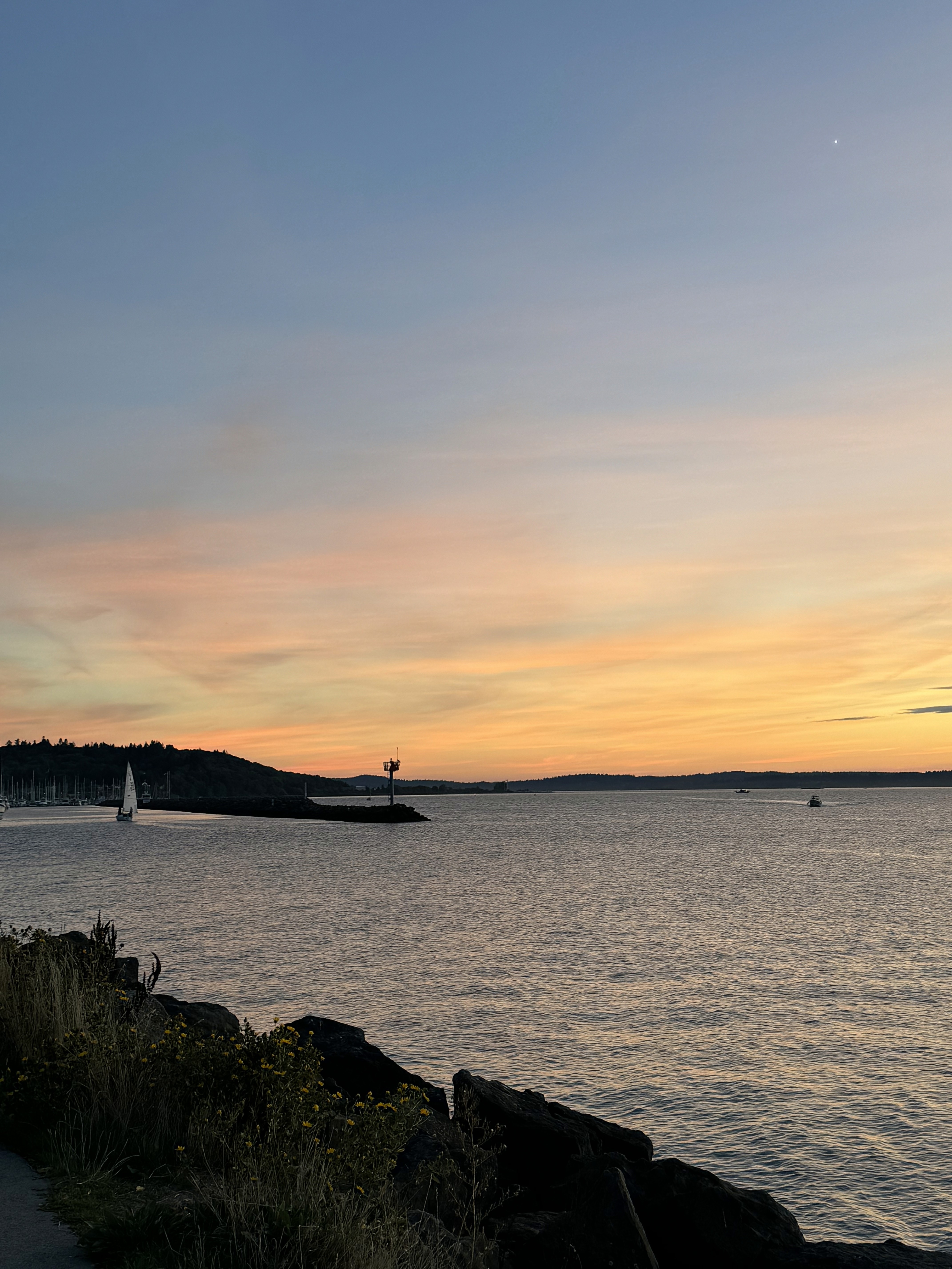 a woman holding an apple