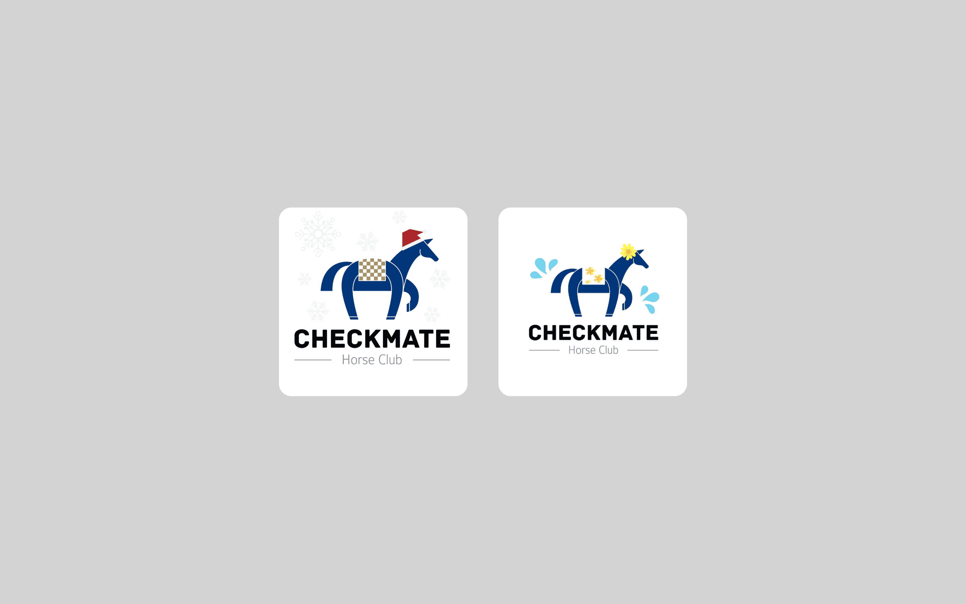 The image featured in the carousel #4 checkmate horse club holidays logo