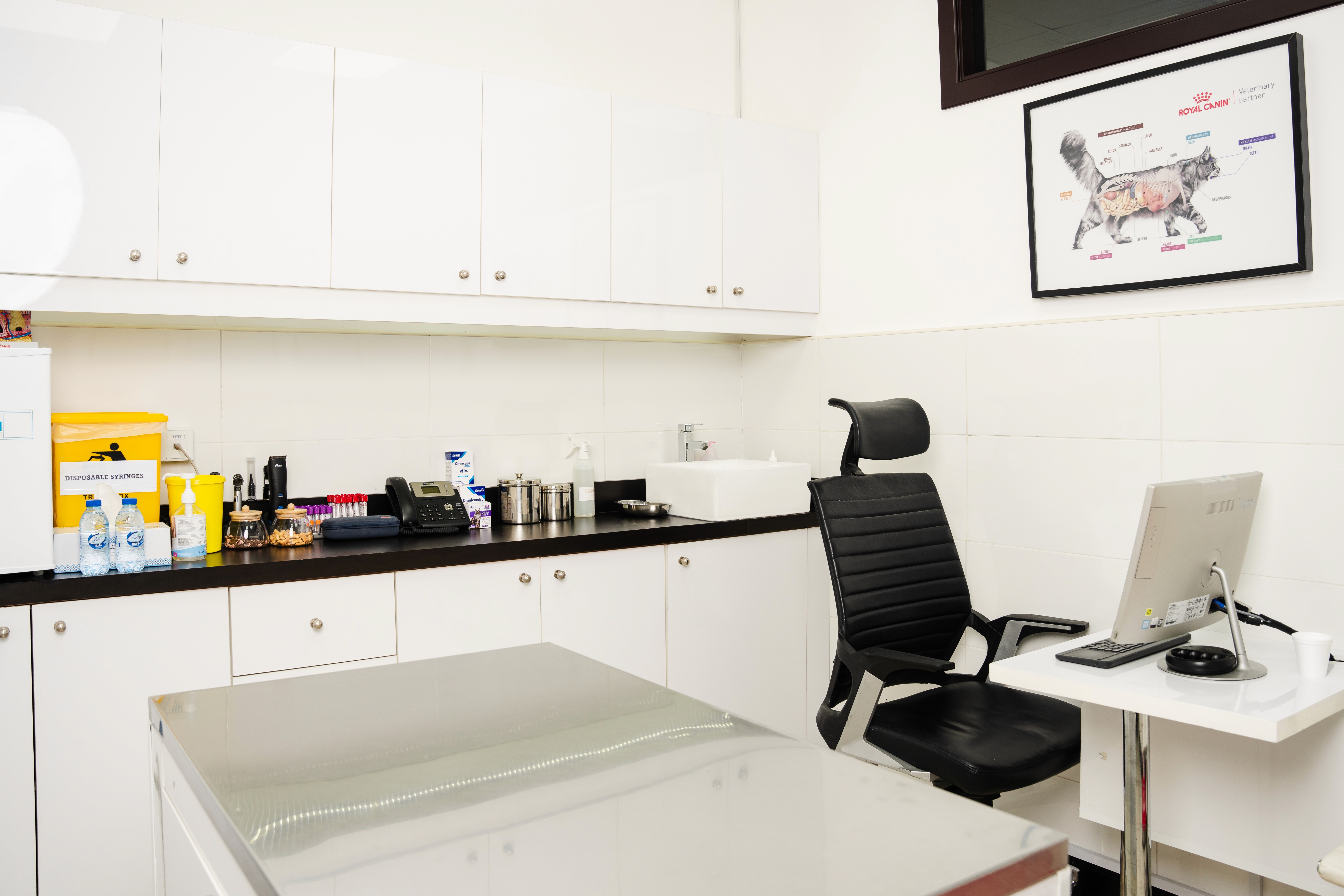 A modern veterinary consultation room with desk, sink, and examination table at Noble Vet Clinics in Dubai.