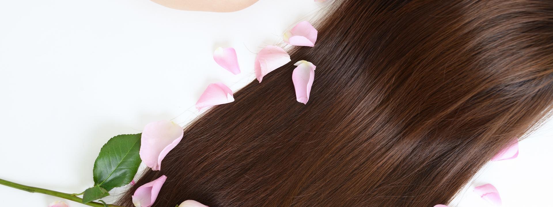 バラの花びらが散りばめられた、艶やかなロングヘアの女性の後ろ姿