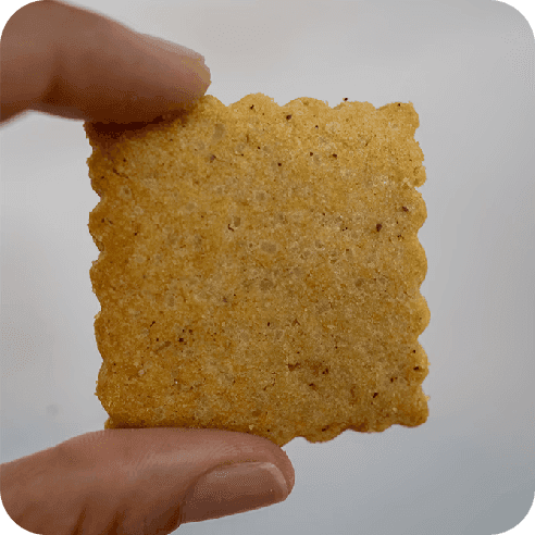 Primer plano de una galleta especuloos artesanal sostenida con los dedos.