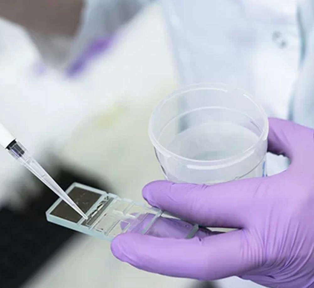 sperm extraction in lab