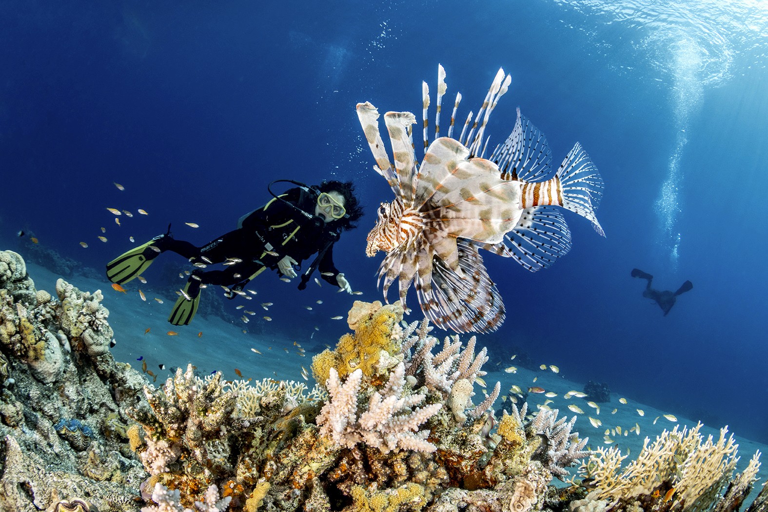 Crew Skiing & Surfing