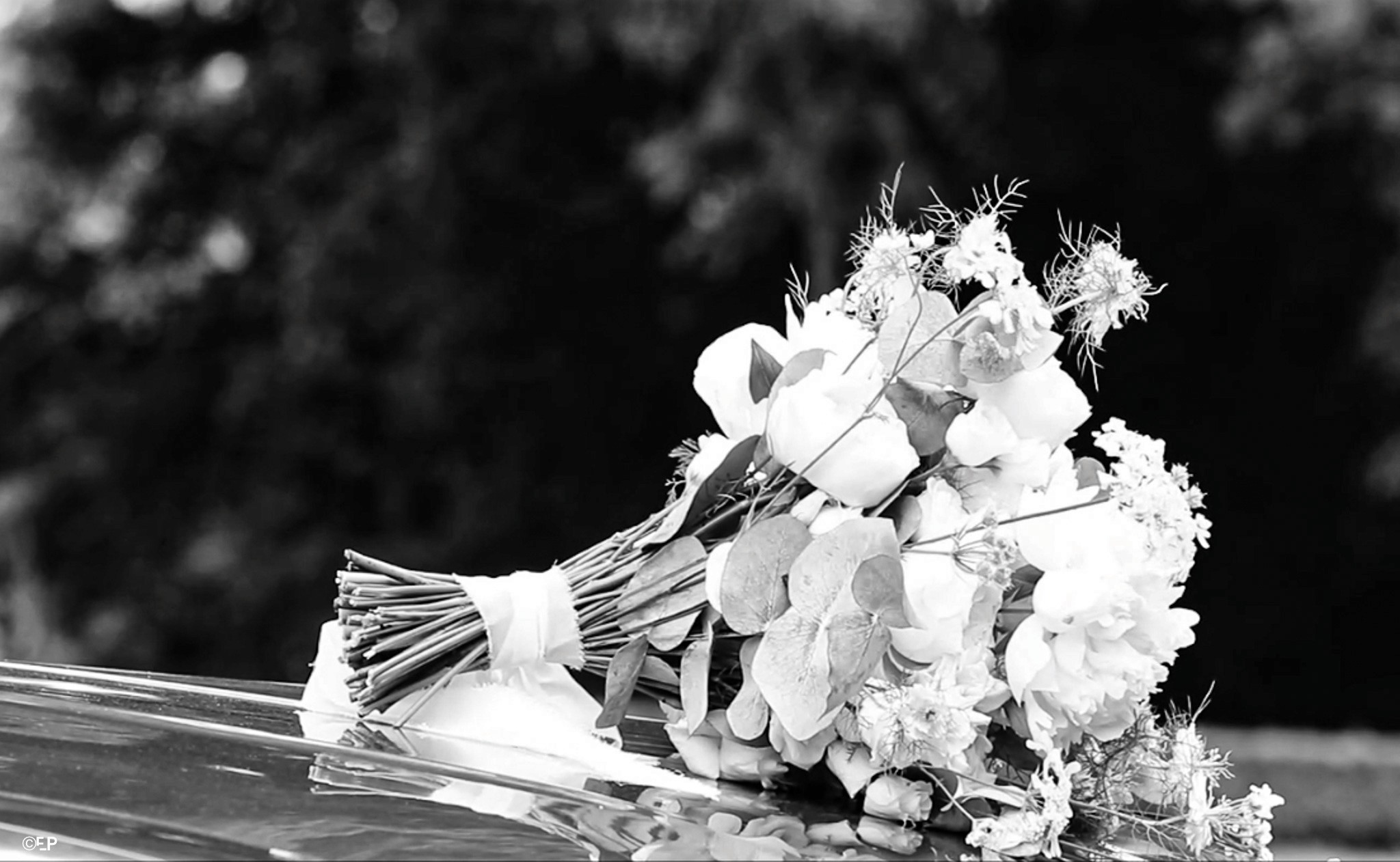 Parc André Citroen, Paris