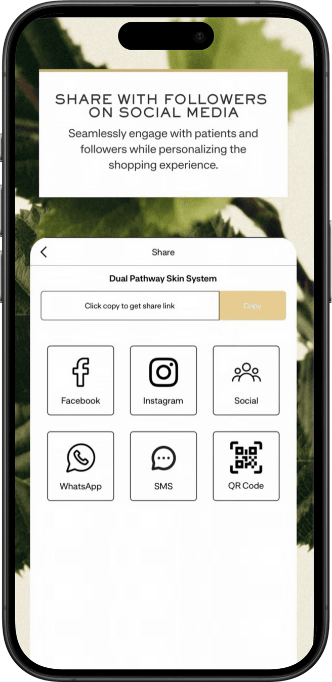 torus abstract object