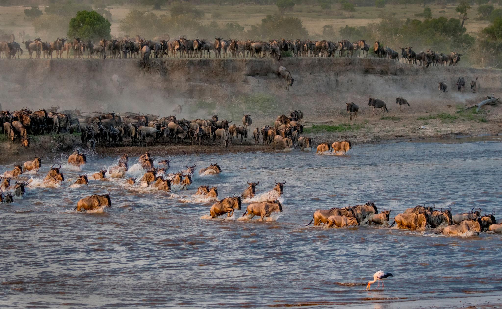 Great Migration