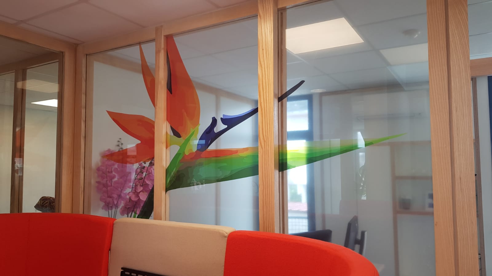 Salle de réunion avec un motif coloré représentant un oiseau de paradis sur des panneaux de verre transparent, encadrés par du bois clair. Le canapé rouge et beige crée une atmosphère dynamique.