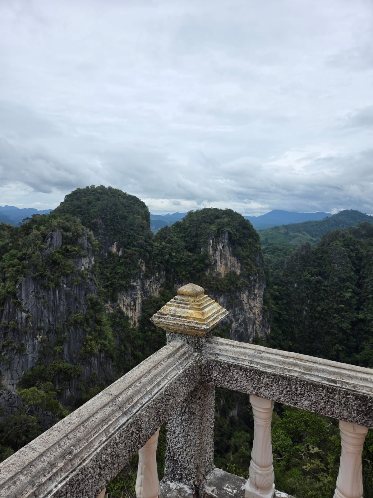 a brown dog sitting on top of a sandy beach