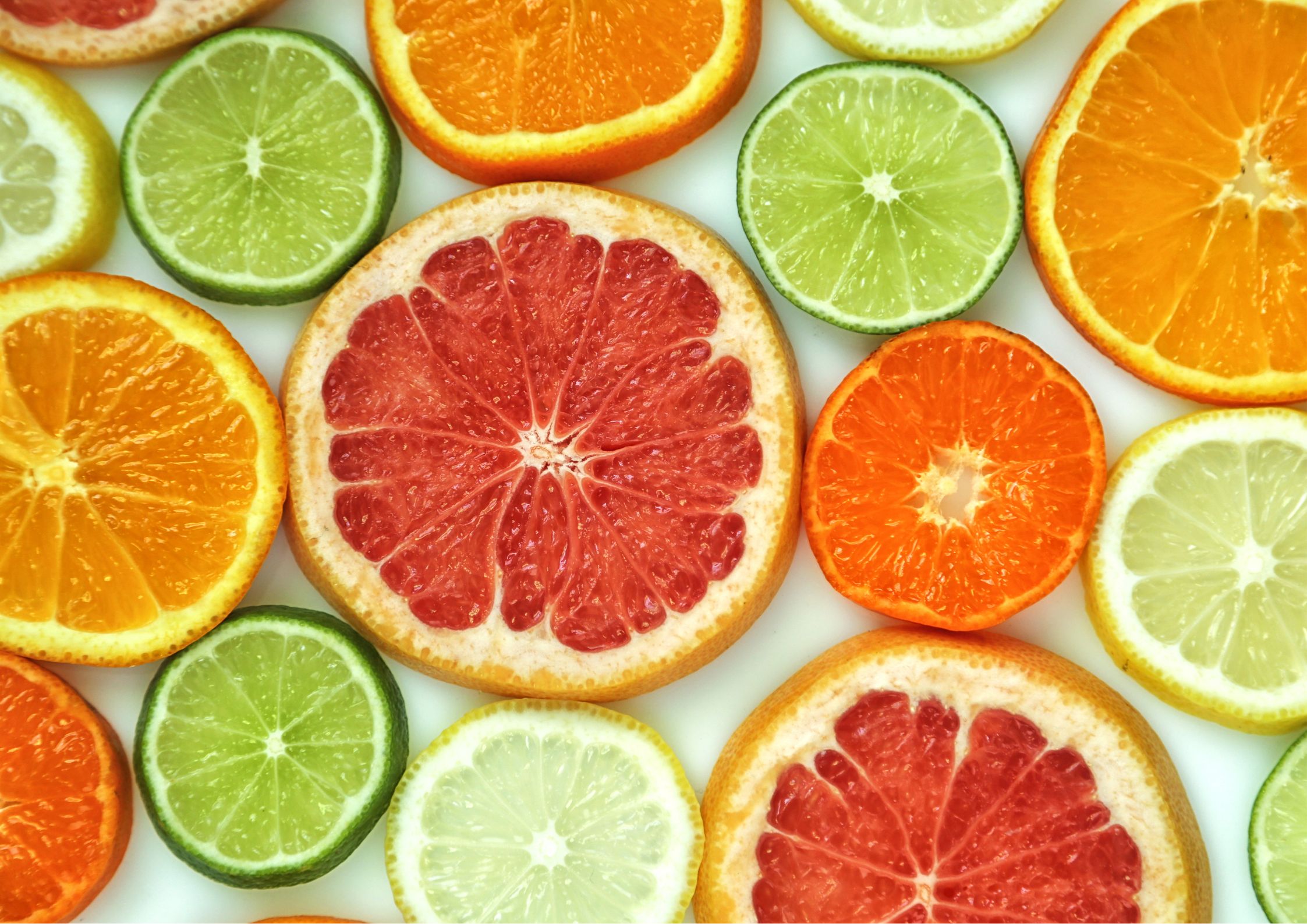 Árboles cítricos naranjos y limoneros en jardín