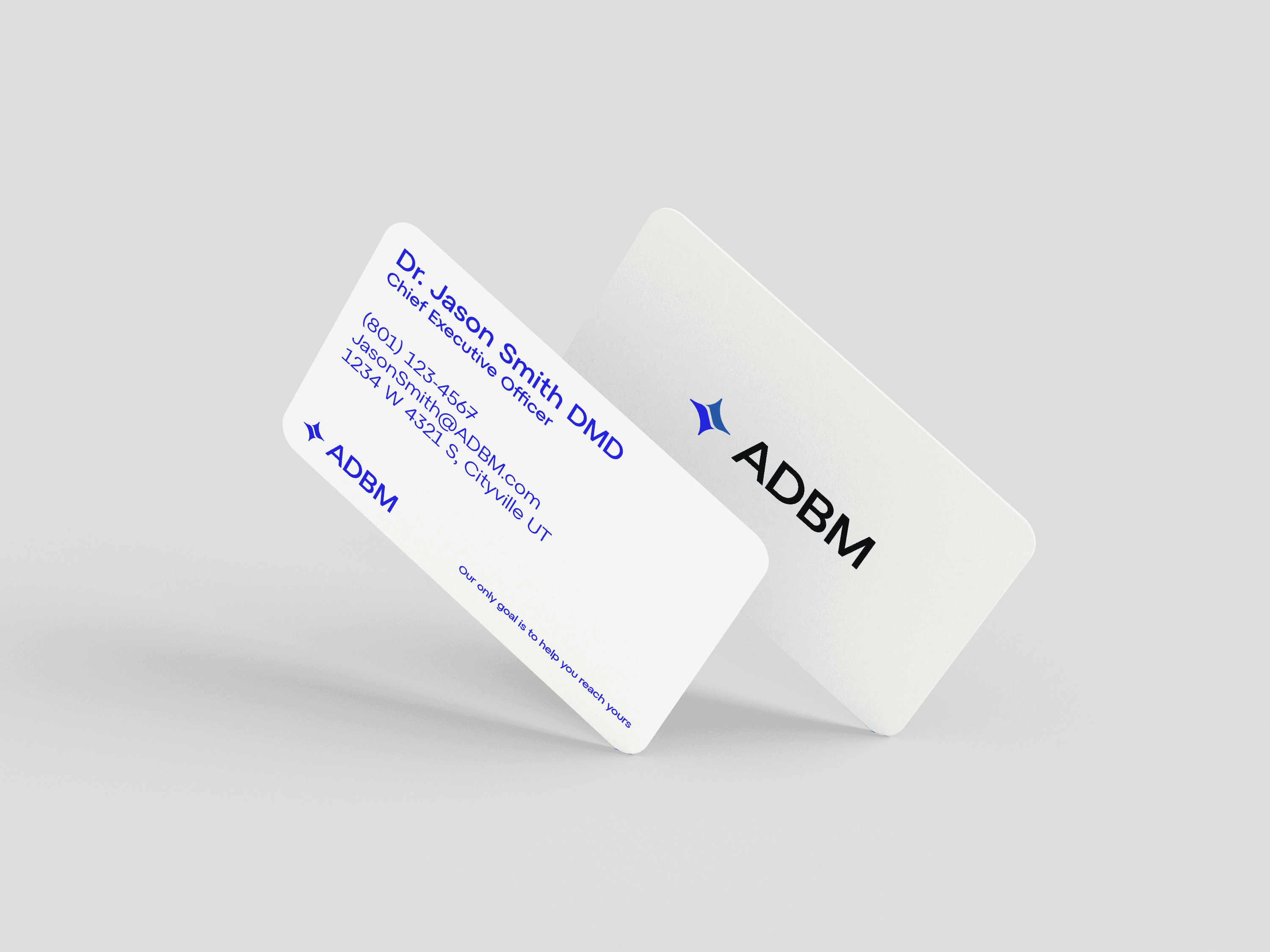 Large Project Gallery Image #1