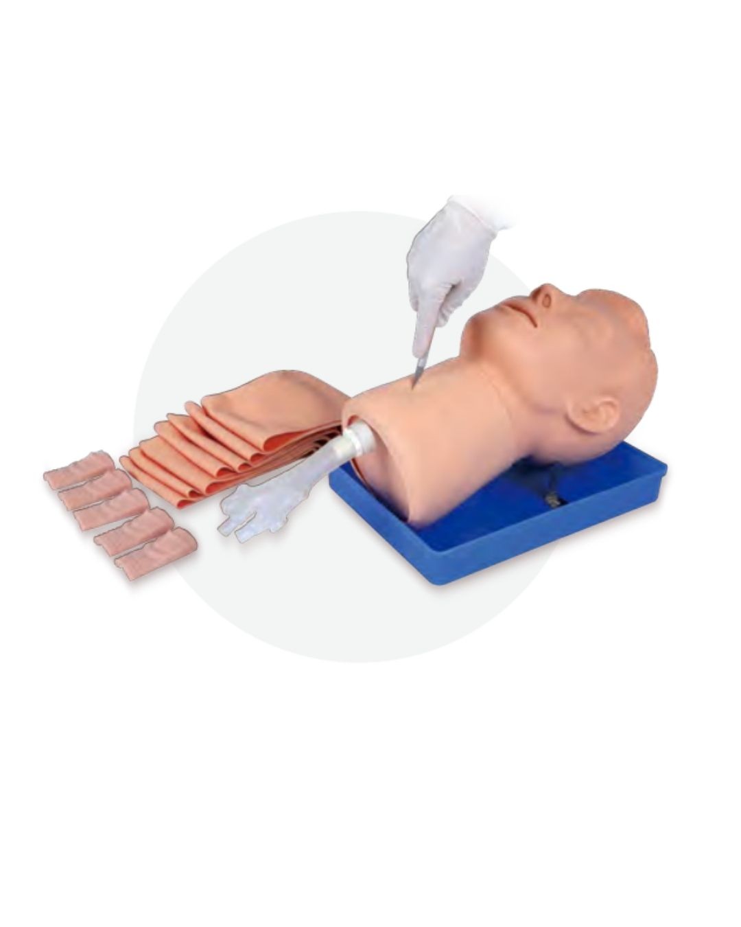 Crico-Thyroid Puncture Model