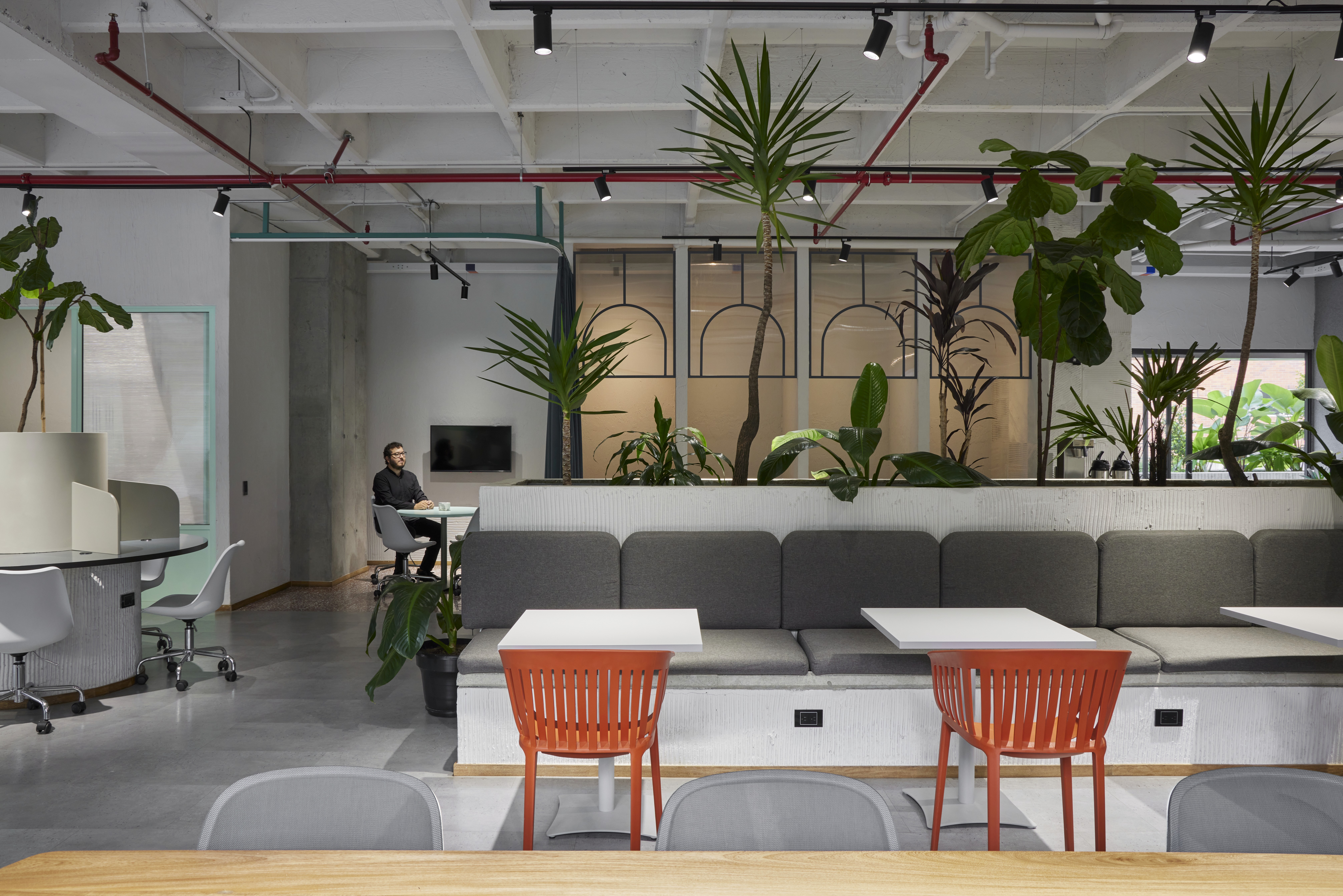 Double-height interior with flowing sculptural forms and warm raking light