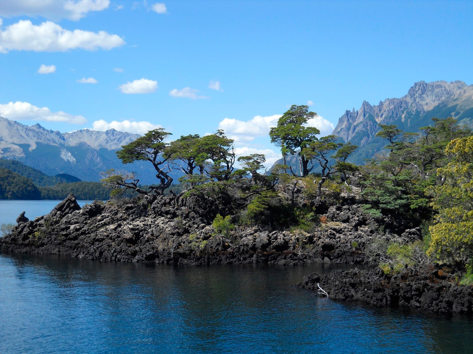 Image of Epulafquén, a rocky point with sparsely branched trees.