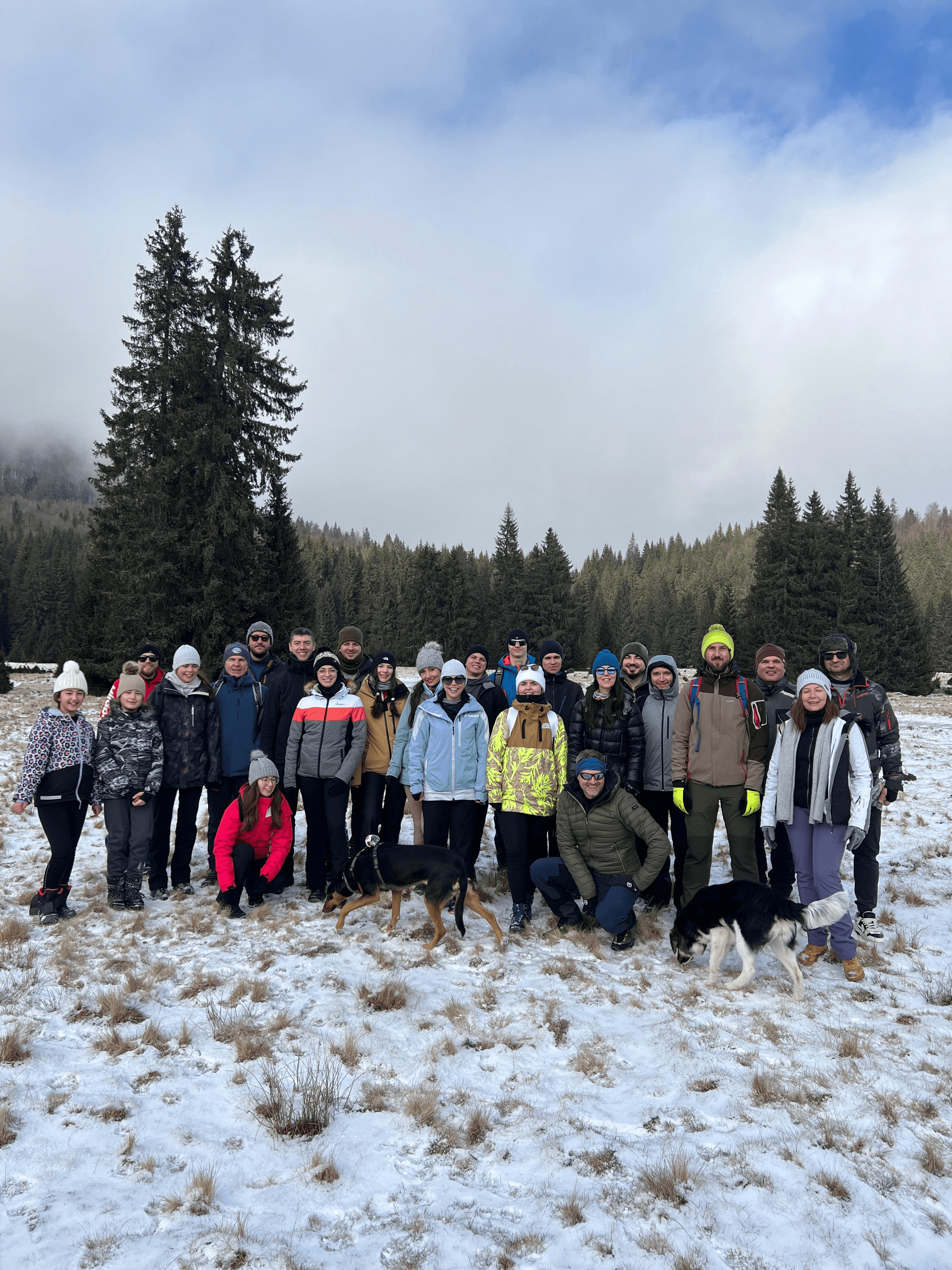 Why It’s Section Image