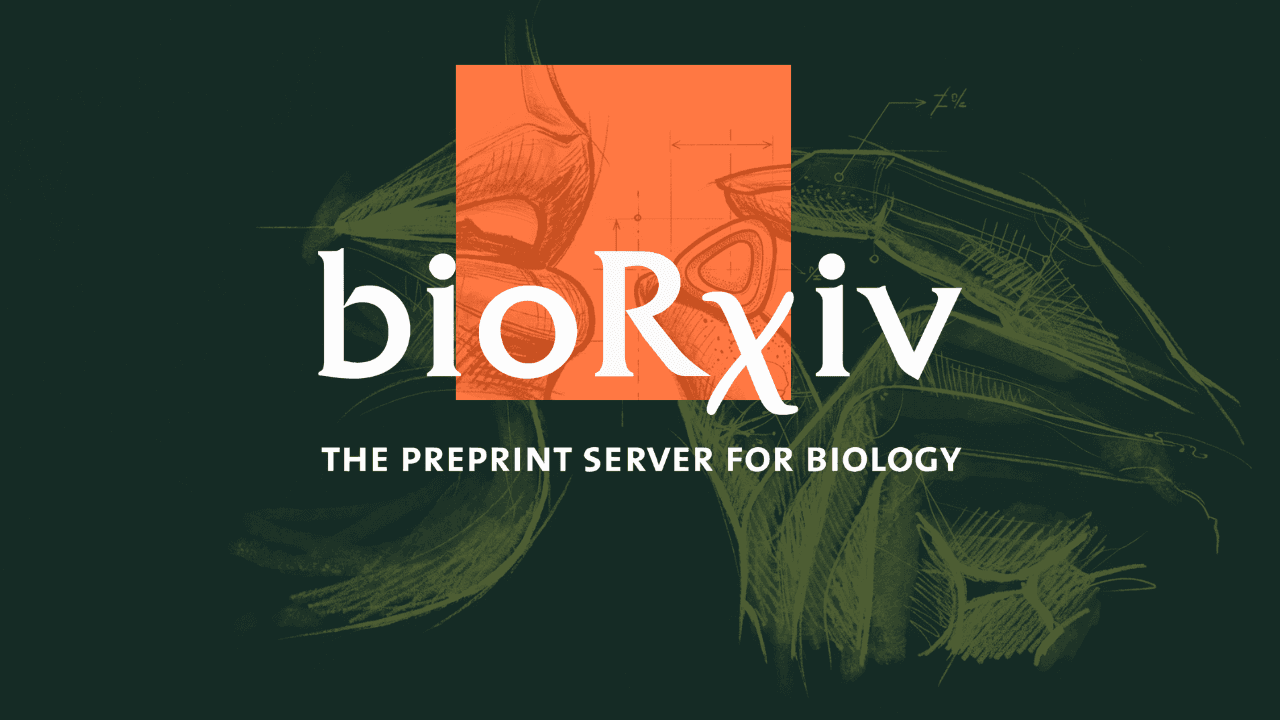 MDL-001: An Oral, Safe, and Well-Tolerated Broad-Spectrum Inhibitor of Viral Polymerases